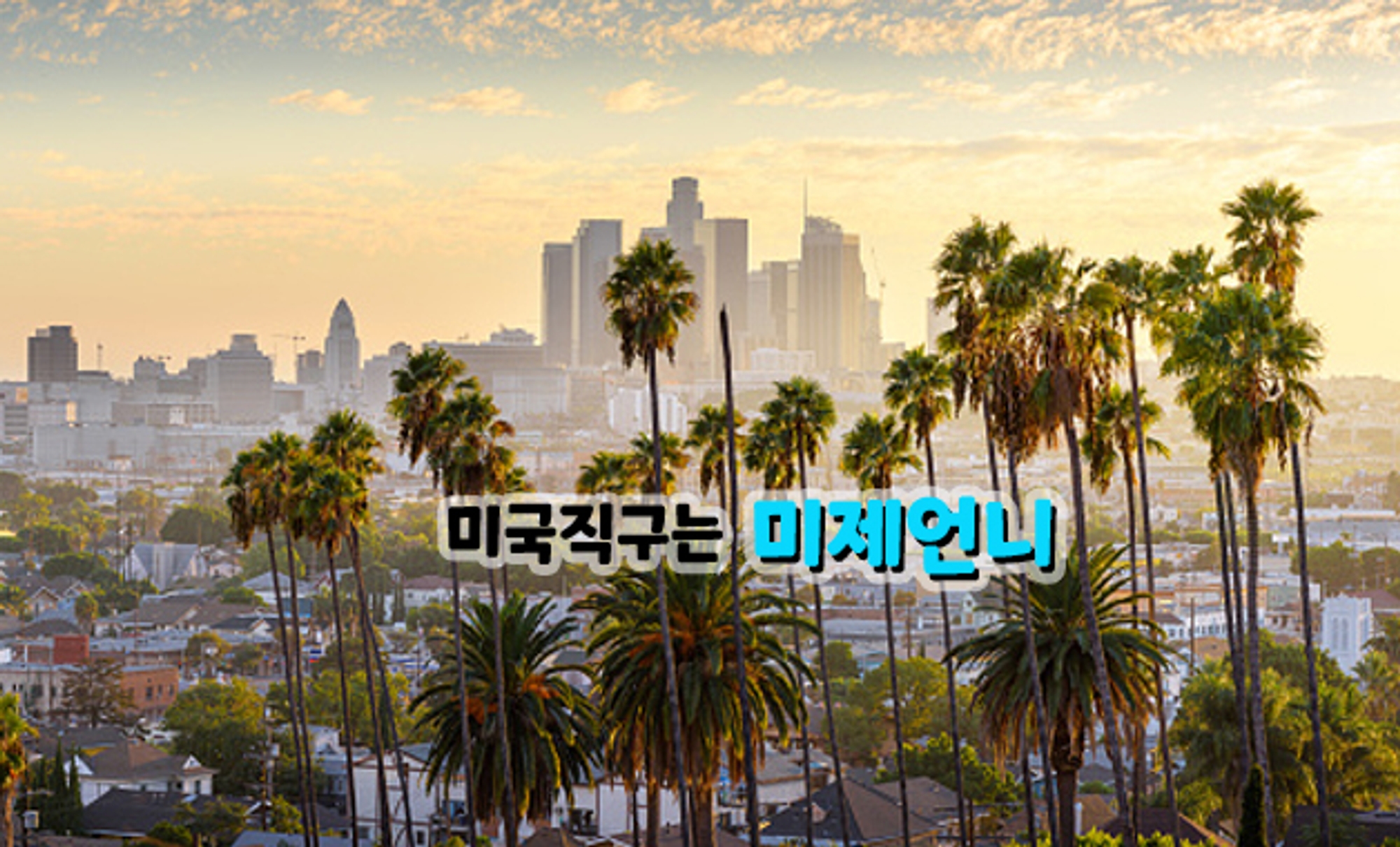 미제 언니